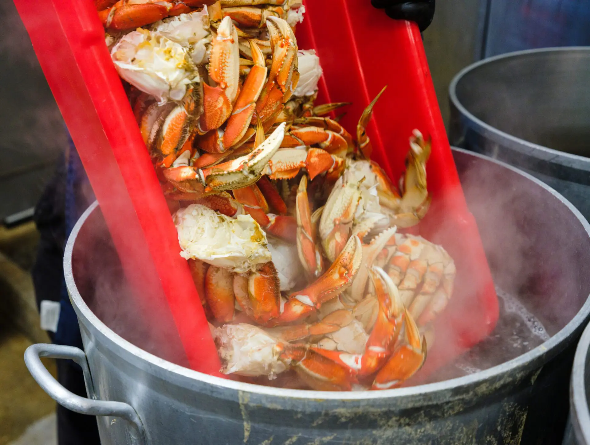 Crab going into pot