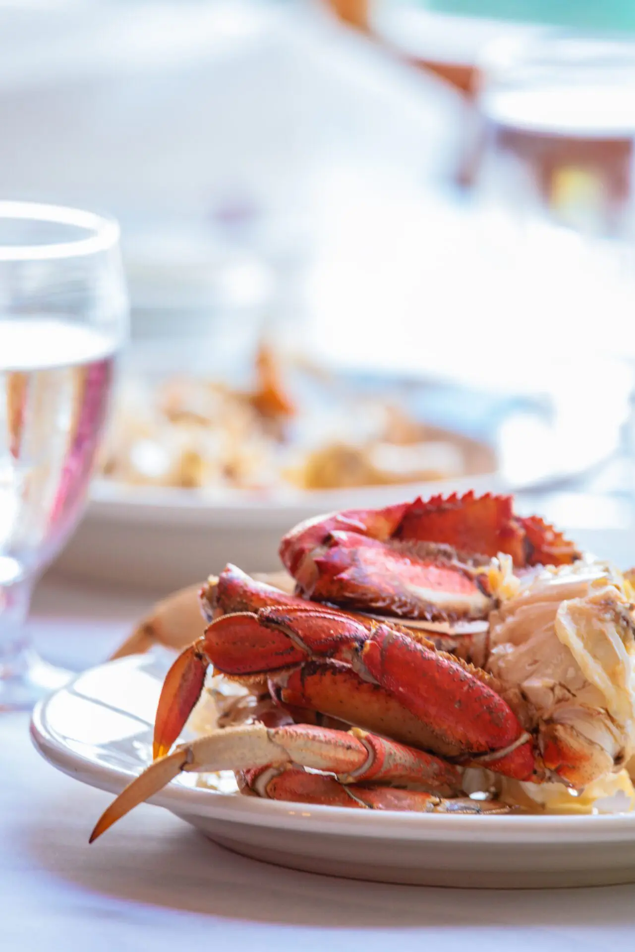Crab on Table